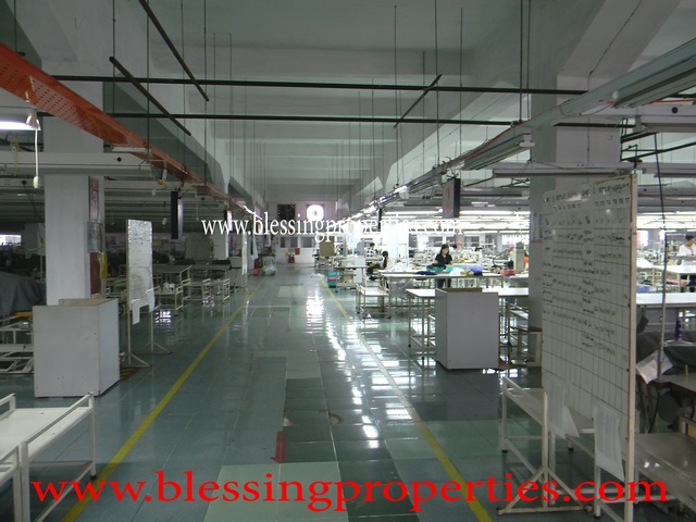 Running Garment Factory For Lease In Hochiminh City