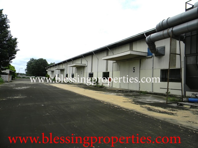 Huge Wooden Processing Factory For Rent in Binh Duong
