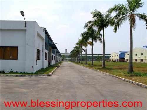 Factory For Rent inside My Phuoc IP - Factory for rent in Binh Duong