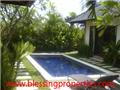 Amazing Villa For Rent - Villas for rent in HCM city