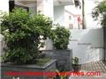 Villa H110810 - Villas for rent in HCM city