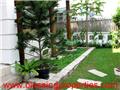 Villa P080712 - Villas for rent in An Phu, HCM city, Vietnam