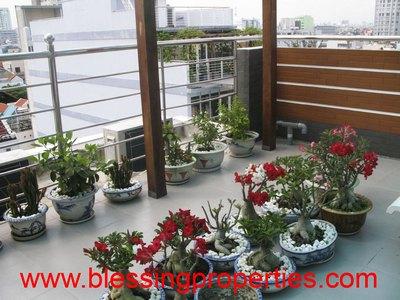 DBP Apartment - Apartments for rent in HCM city, Vietnam