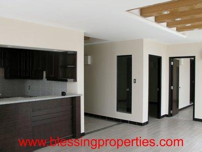 Brandnew Penthouse - Apartments for rent in HCM city, Vietnam