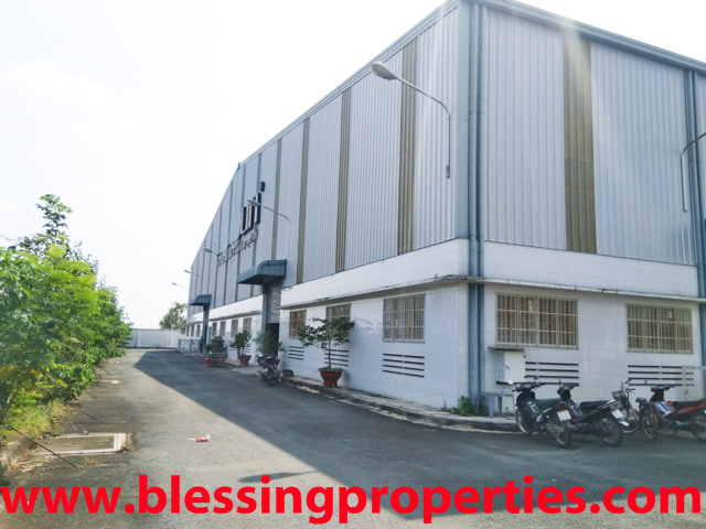 Electrict Decotive Light Processing Factory For Lease
