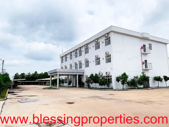 Huge Wooden Processing Factory For Lease In Vietnam
